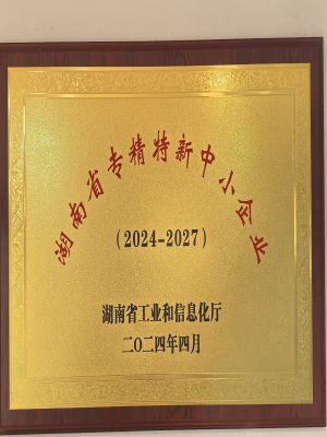 湖南省專精特新中小企業(yè)